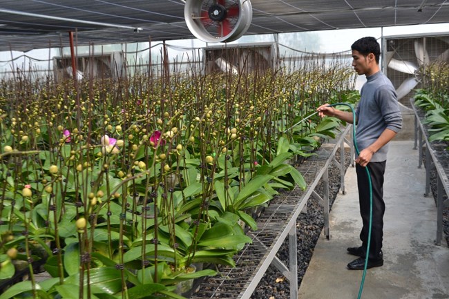 Thu hút nông dân hướng đến mô hình nông nghiệp công nghệ cao (8/1/2019)